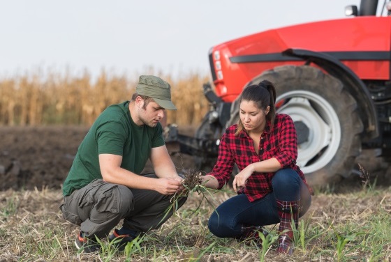 Young farmers examing dirt while tractor is plowing field