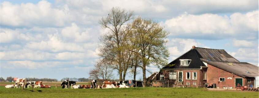 Hollandse-boerderij-2-1-845x321