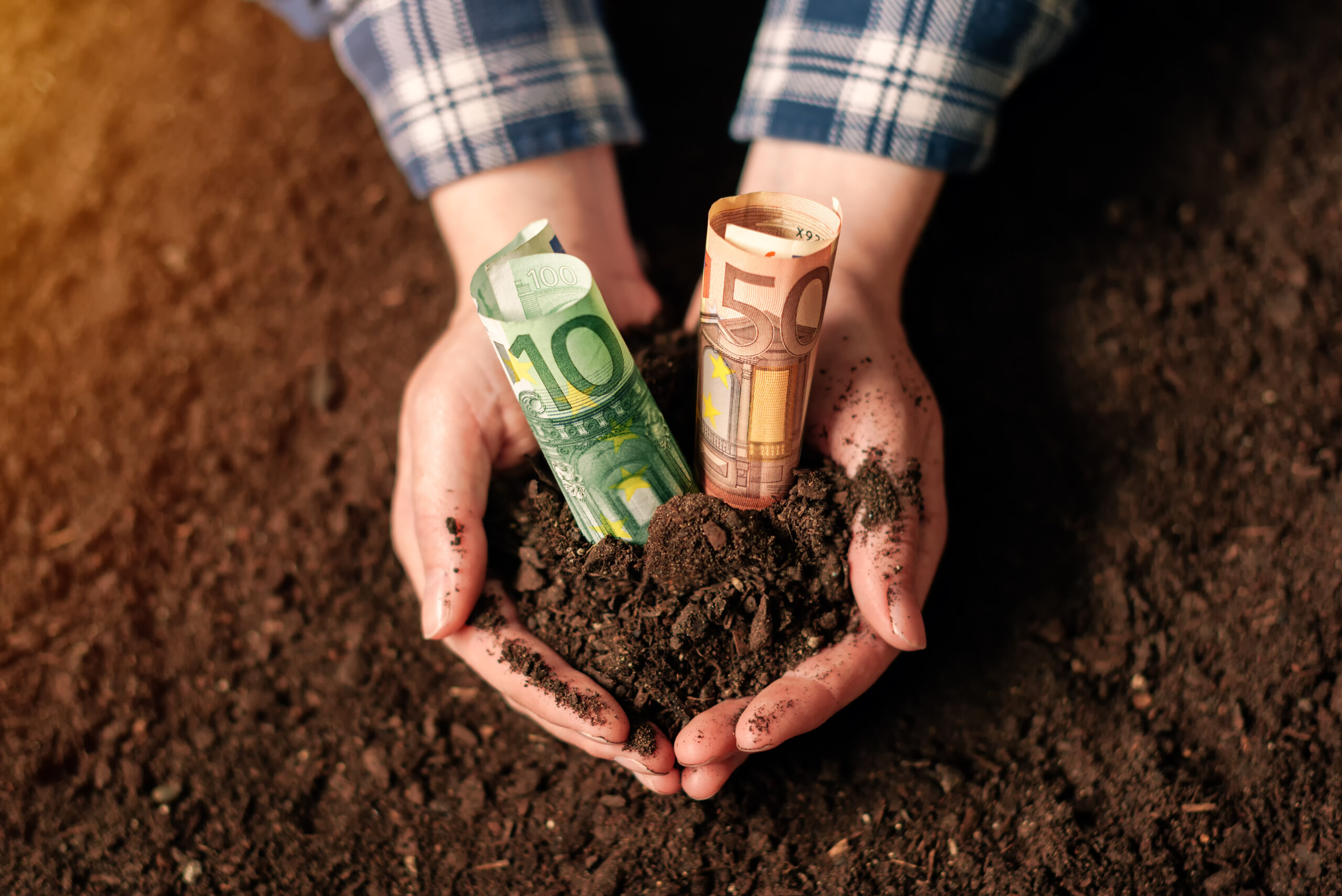 Hands with fertile soil and euro money banknotes, female farmer handful of cultivated land that makes profit and steady income from sustainable agricultural activity like organic growth of crops